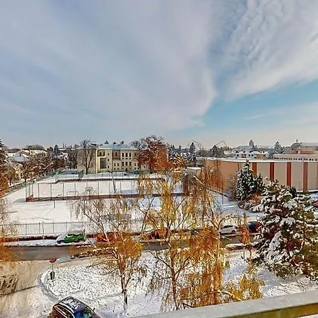 In Center Of Podebrady
